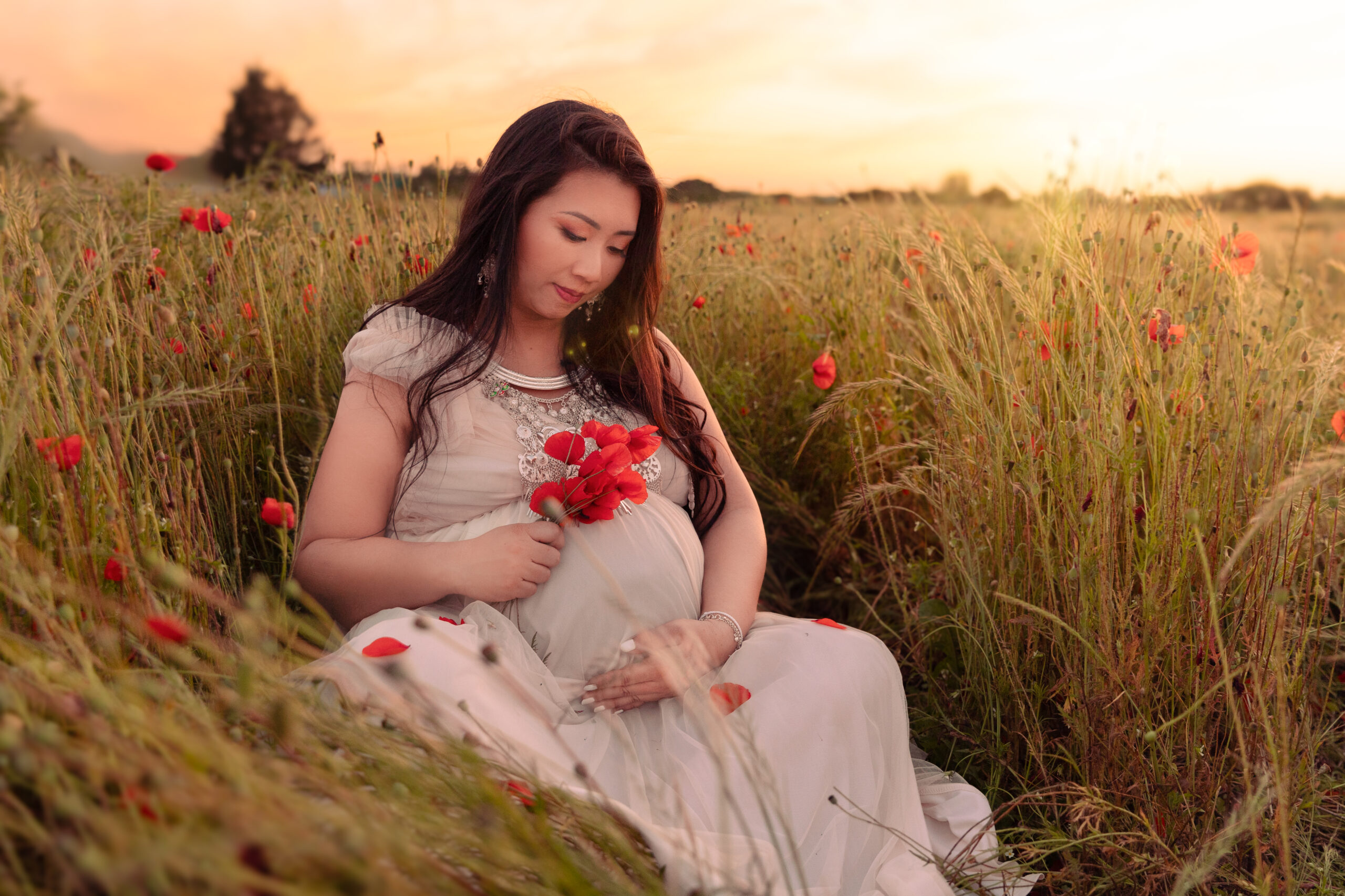 femme enceinte photographie orléans coquelicots