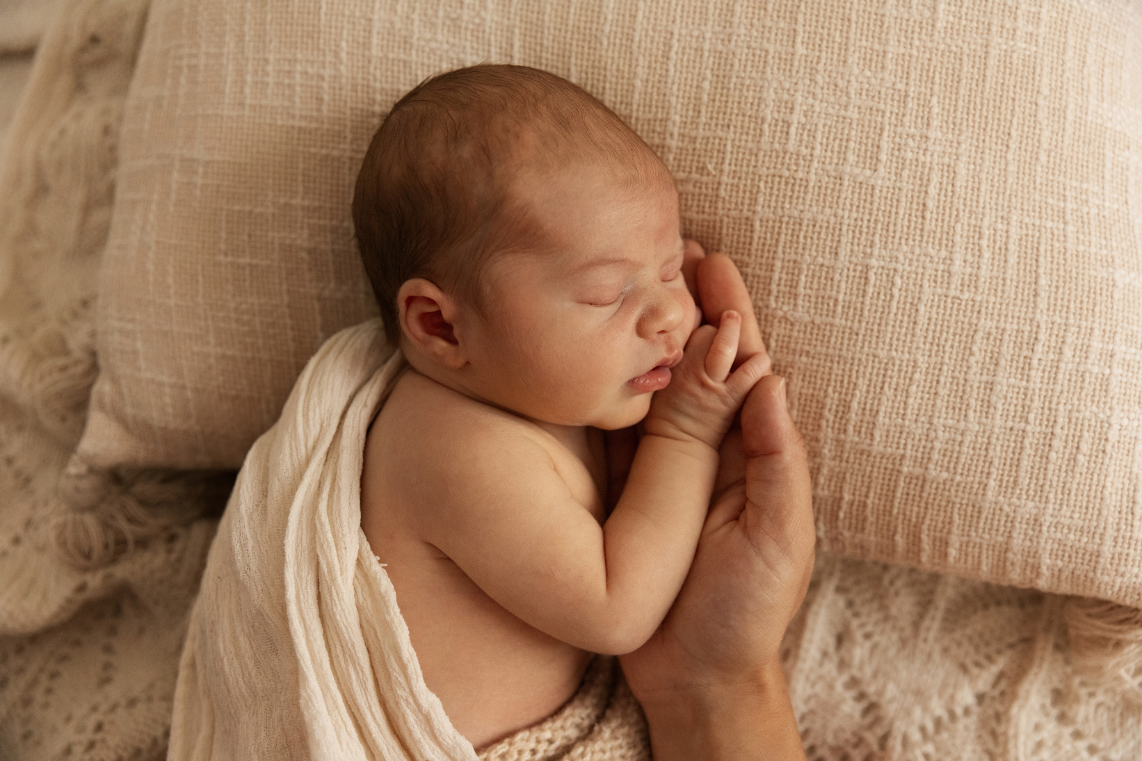 Bébé dans les mains de son papa - photographe naissance à orléans